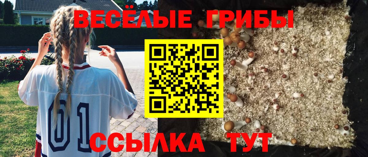 Галлюциногенные грибы мухоморы Дальнегорск