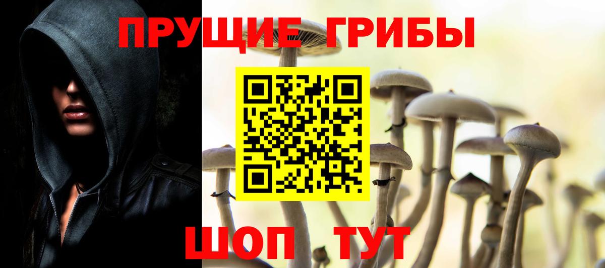 Дальнегорск  Галлюциногенные грибы Psilocybe  Вход с VPN 